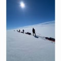 Grönlands Eisdecke auf Skiern überqueren: Ein Leitfaden für Abenteurer