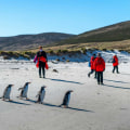 Bleiben Sie in den Polarregionen warm und trocken: Wichtige Tipps für Ihr arktisches Abenteuer
