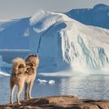 Eisberge und Gletscher in der Antarktis: Ein umfassender Leitfaden