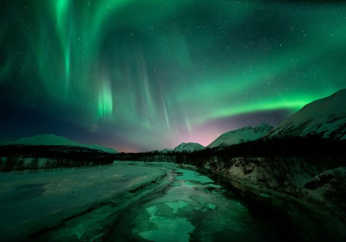 Aurora Borealis in der Arktis: Ein Naturphänomen, das Sie nicht verpassen sollten