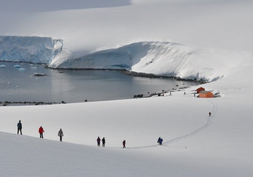 Erkundung der eisigen Wunder der Antarktis: Ein Leitfaden für eine Kreuzfahrt durch Eisberge