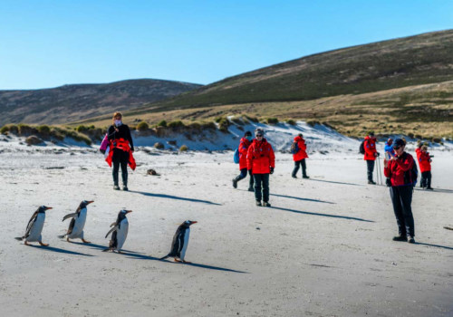 Bleiben Sie in den Polarregionen warm und trocken: Wichtige Tipps für Ihr arktisches Abenteuer